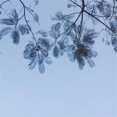 九游至尊传奇游戏下载